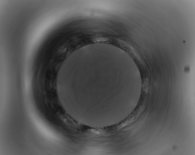 X0000100370763200807031902