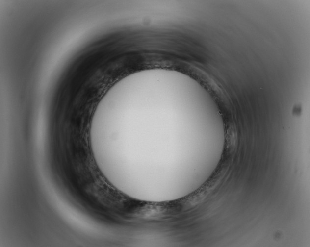 X0000100370764200807031902