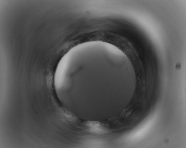 X0000100370767200807031902