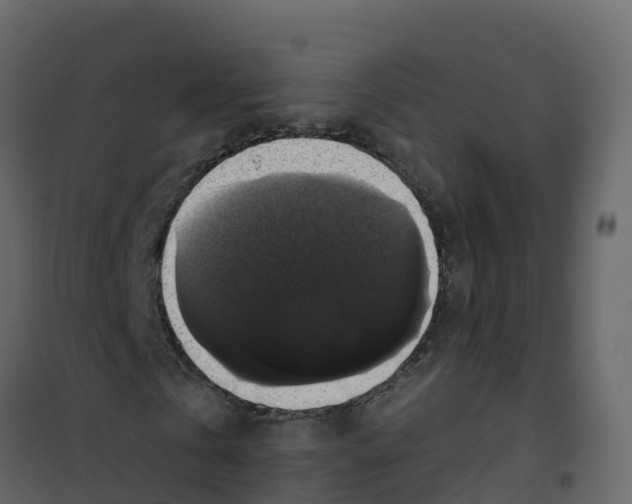 X0000100370769200807031901