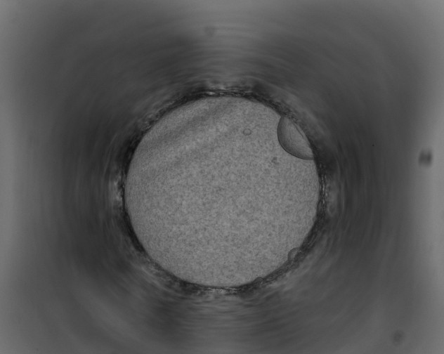 X0000100370770200807031901