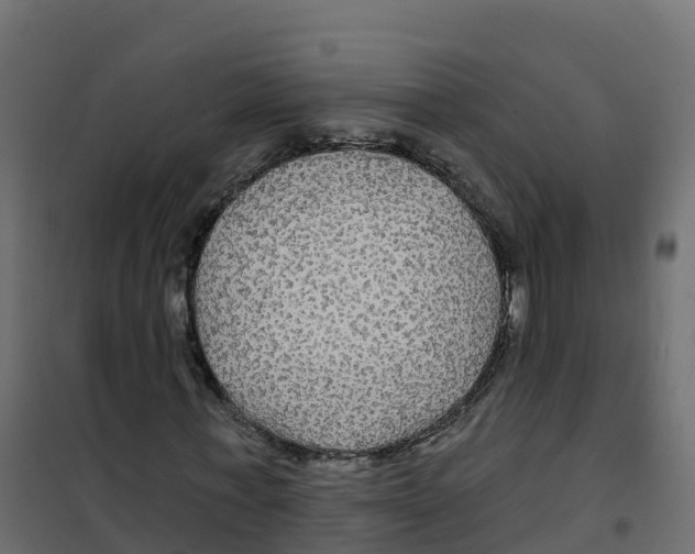 X0000100370771200807031901