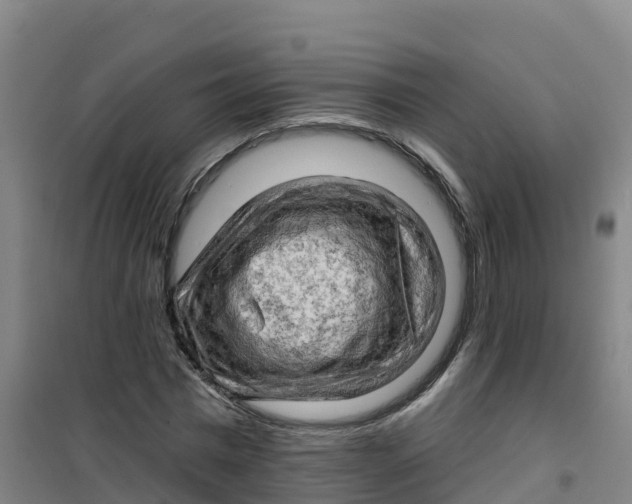 X0000100370777200807031901