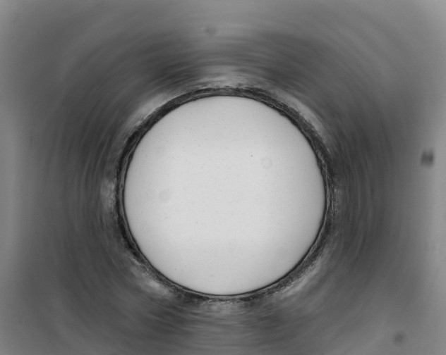 X0000100370778200807031901