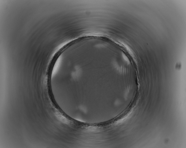 X0000100370779200807031901