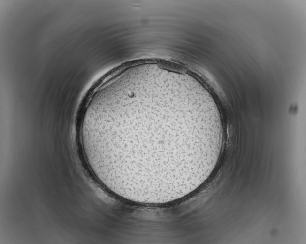 X0000100370780200807031901