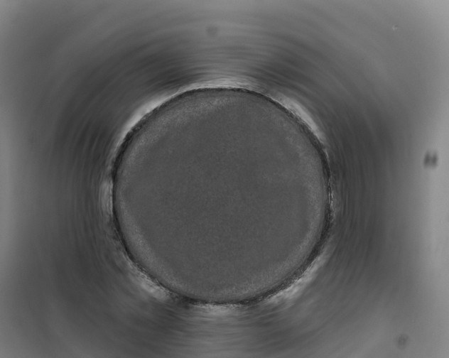 X0000100370781200807031901