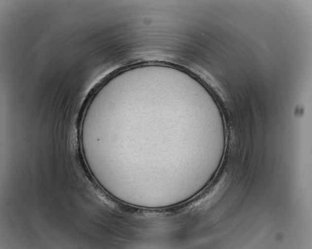 X0000100370782200807031901