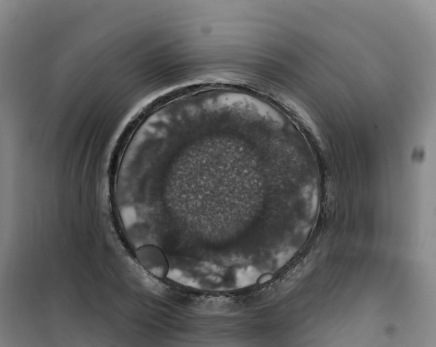 X0000100370784200807031901