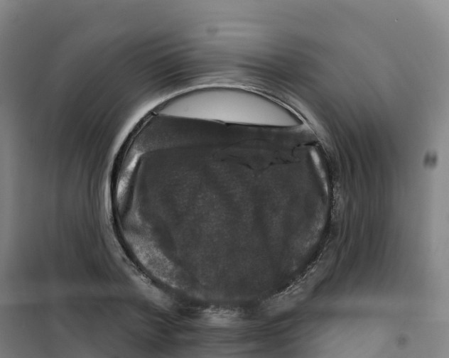 X0000100370788200807031901