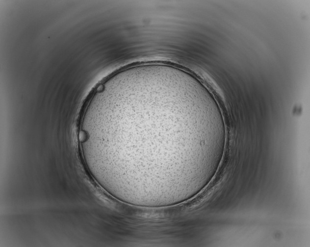 X0000100370789200807031901