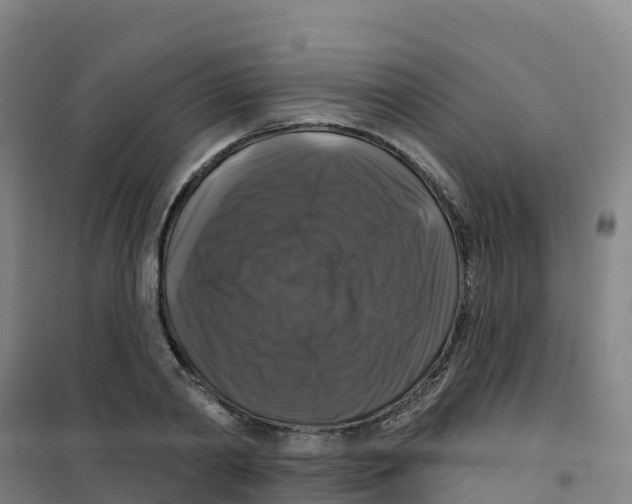 X0000100370790200807031901