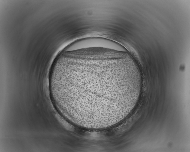 X0000100370792200807031901