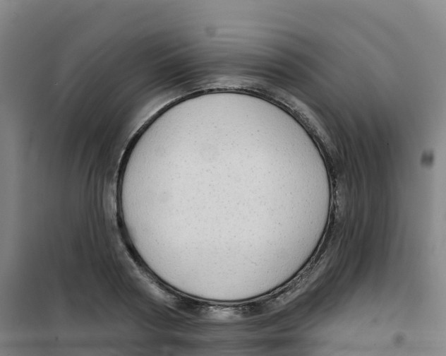 X0000100370794200807031901