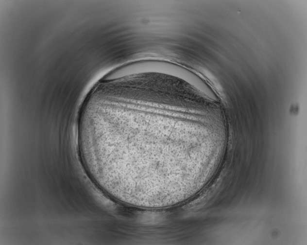 X0000100370796200807031901