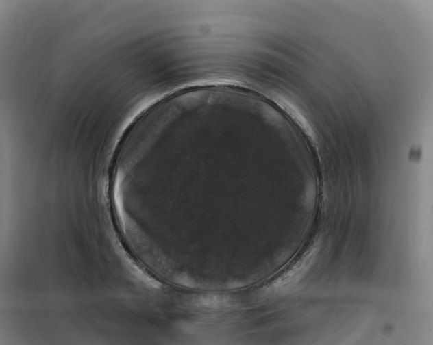 X0000100370797200807031901