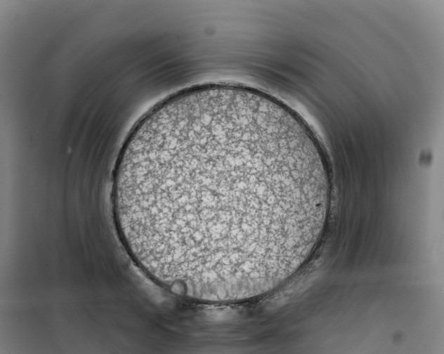 X0000100370799200807031901