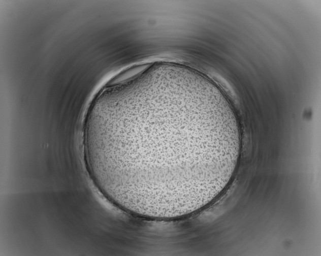 X0000100370800200807031901