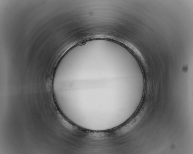 X0000100370801200807031901