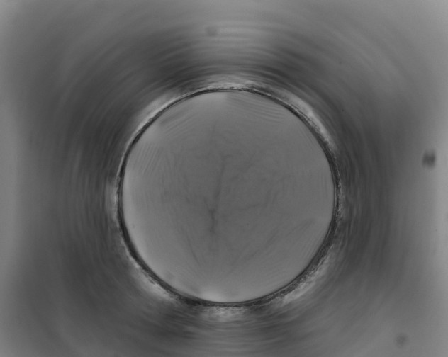 X0000100370802200807031901