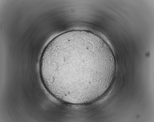 X0000100370803200807031901