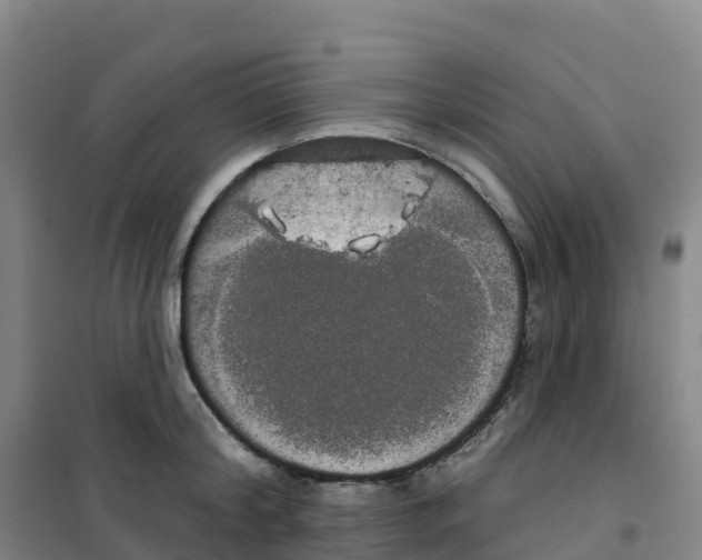 X0000100370804200807031901