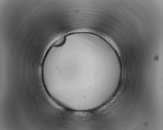 X0000100370805200807031901