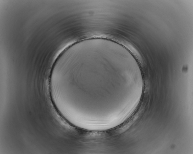 X0000100370806200807031901