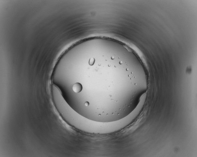 X0000100370807200807031901