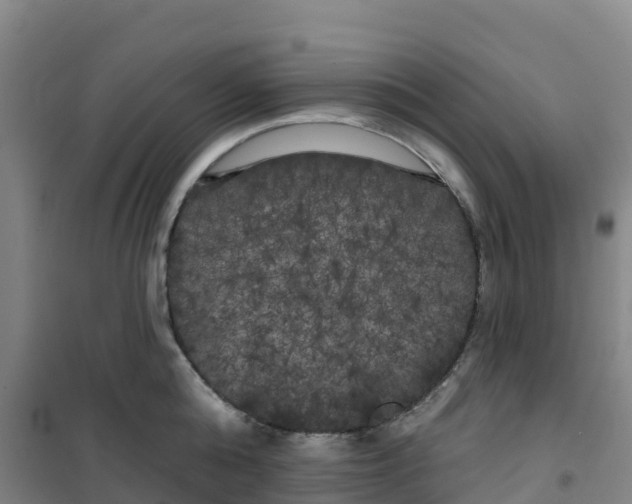 X0000100370808200807031901