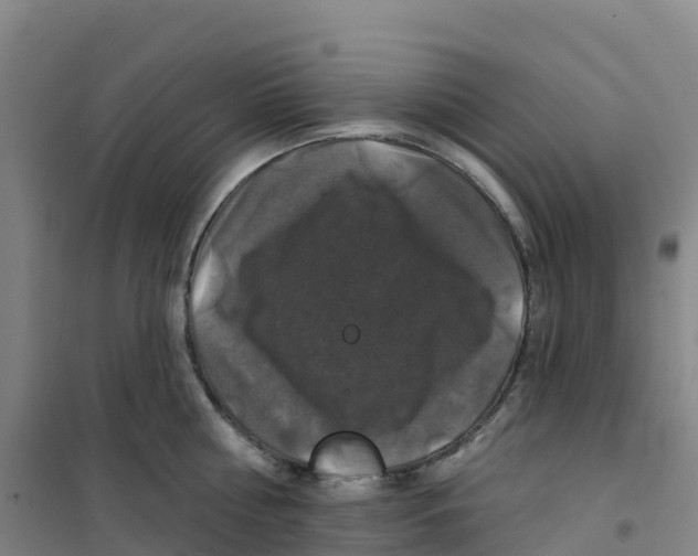 X0000100370810200807031901