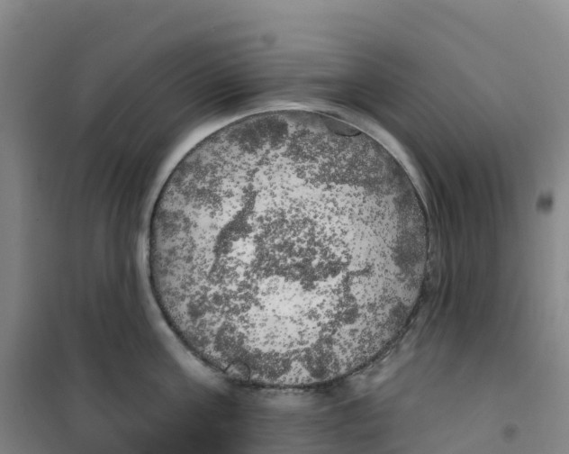 X0000100370811200807031901