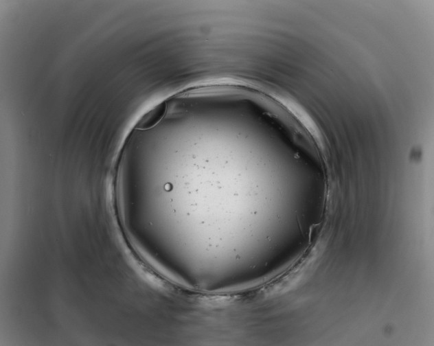 X0000100370813200807031901