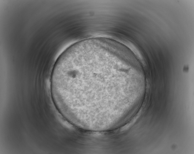 X0000100370814200807031901