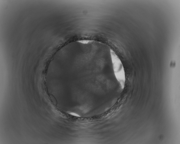 X0000100370817200807031900