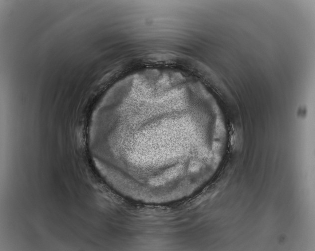 X0000100370819200807031900