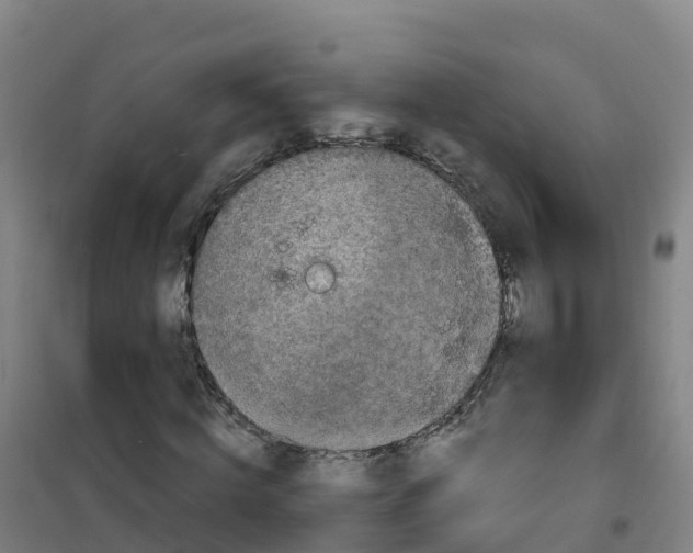 X0000100370820200807031900