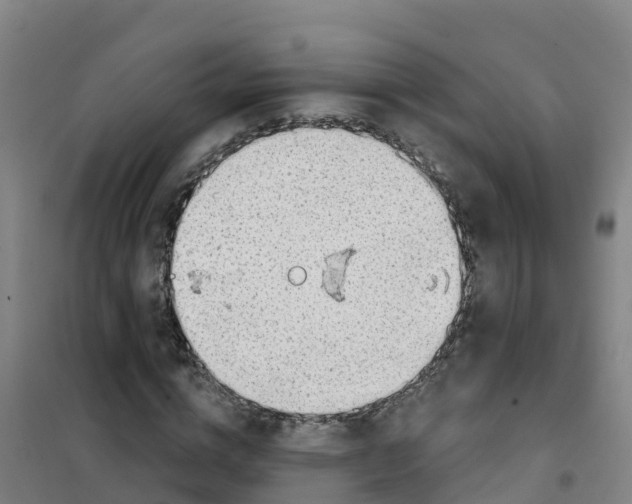 X0000100370824200807031900