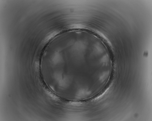 X0000100370825200807031900