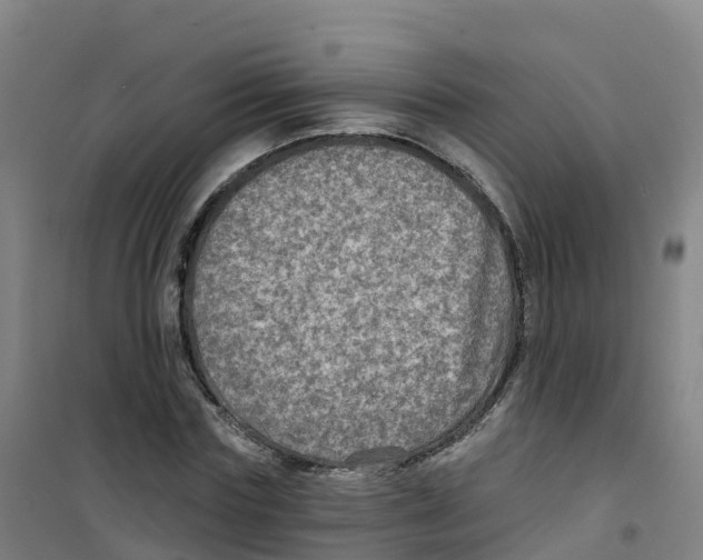 X0000100370827200807031900