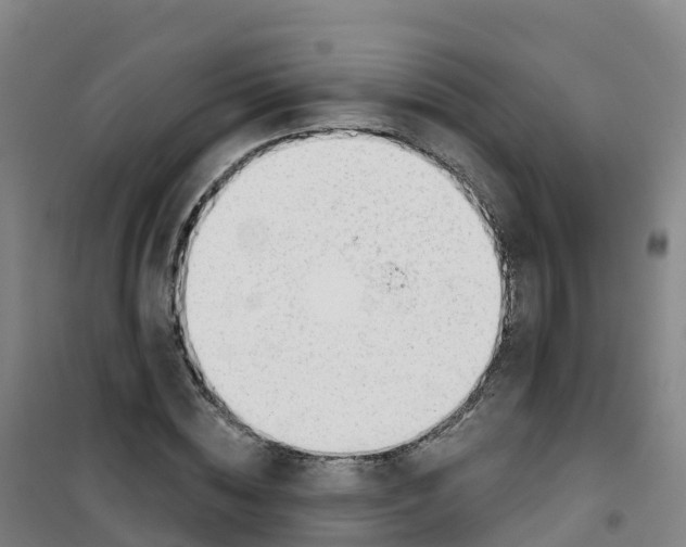 X0000100370828200807031900