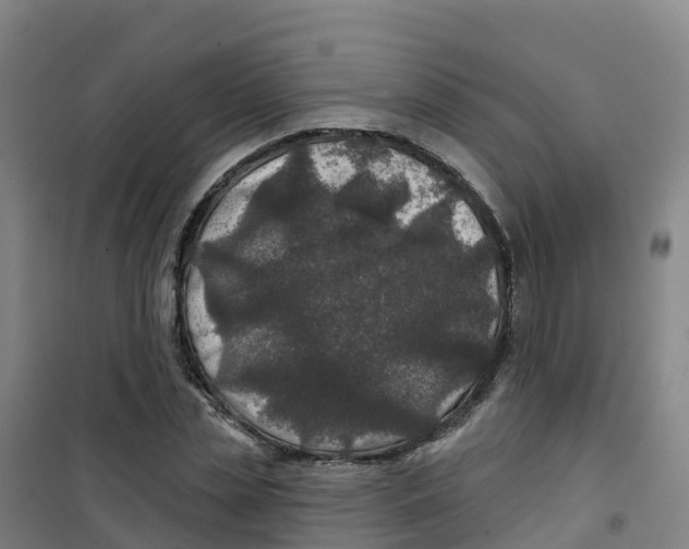 X0000100370829200807031900