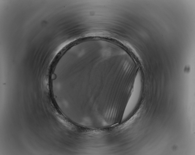 X0000100370830200807031900