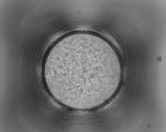 X0000100370831200807031900