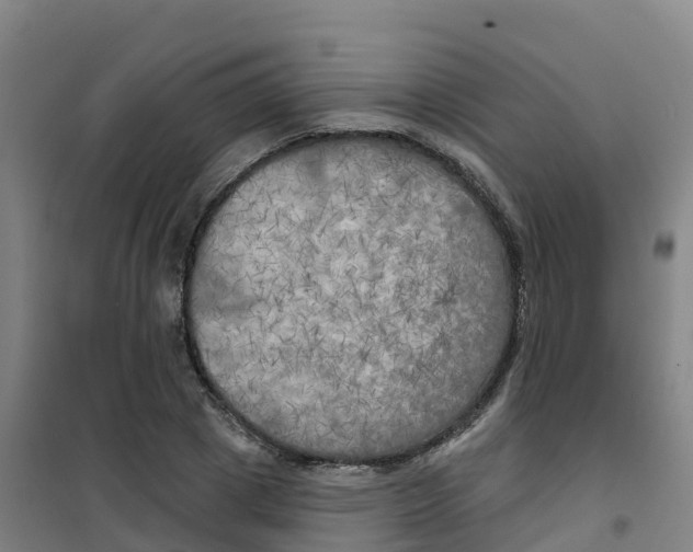 X0000100370833200807031900