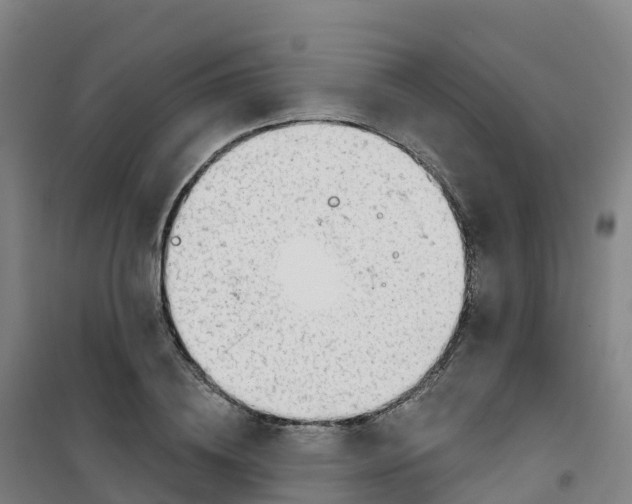 X0000100370836200807031900