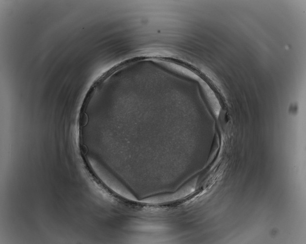 X0000100370840200807031900