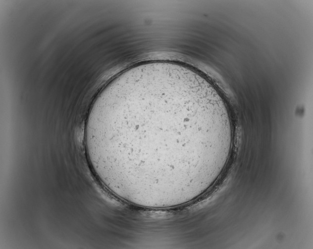 X0000100370841200807031900