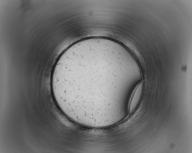 X0000100370842200807031900