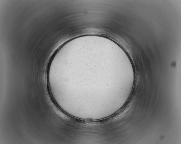 X0000100370843200807031900